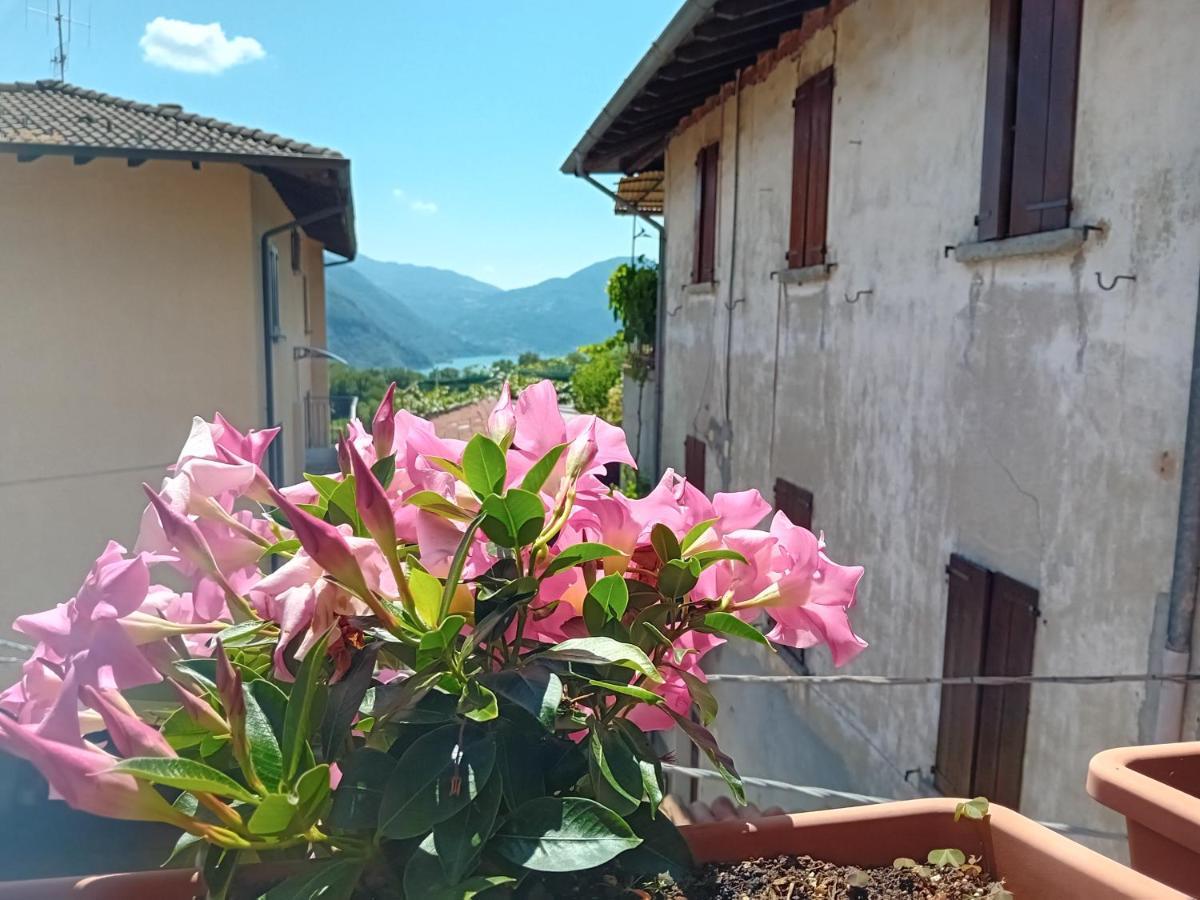 Casa Di Ariel Villa Carlazzo Ngoại thất bức ảnh